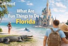 What Are Fun Things to Do in Florida