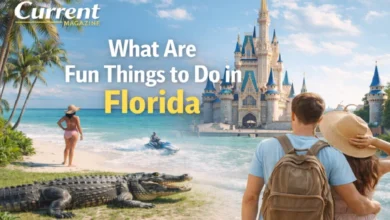 What Are Fun Things to Do in Florida