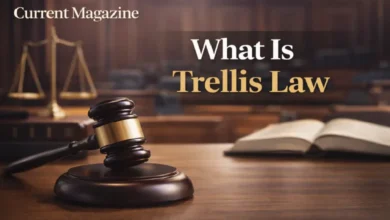 What Is Trellis Law